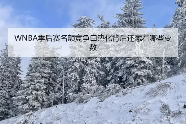 WNBA季后赛名额竞争白热化背后还藏着哪些变数
